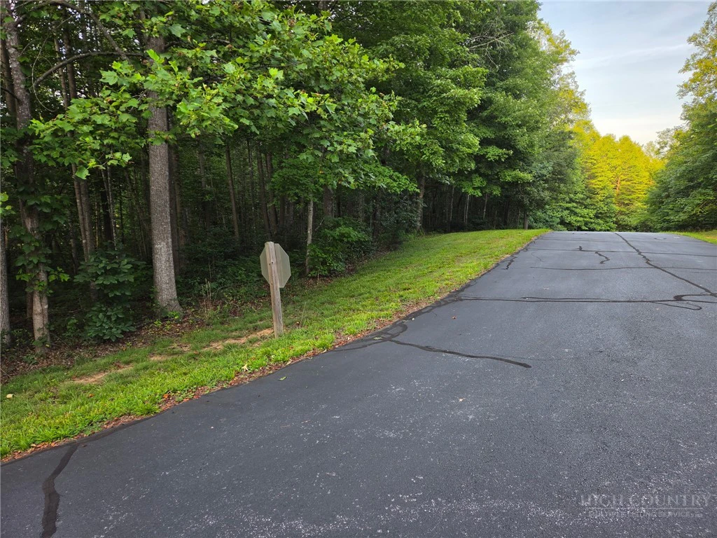 Image number 4 for the current listing