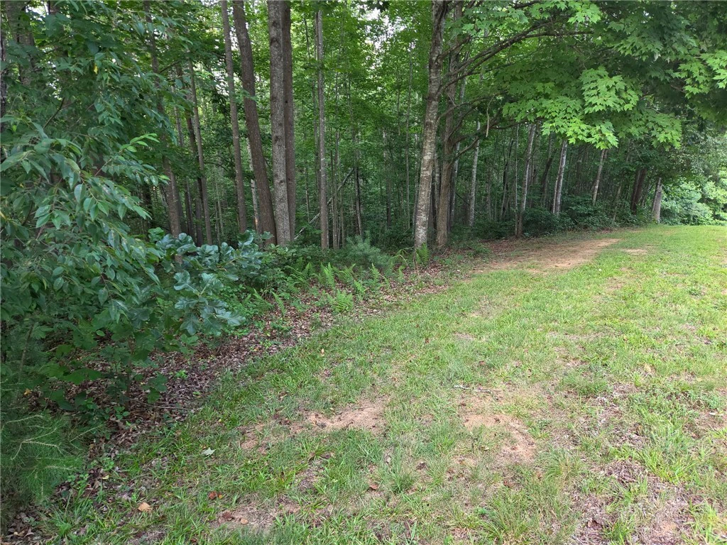 Image number 6 for the current listing