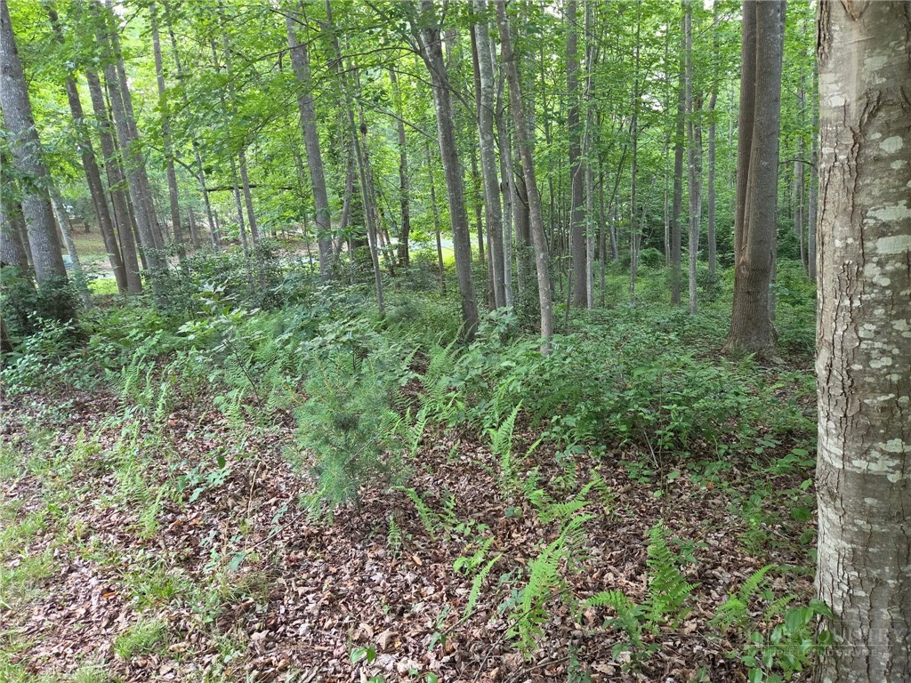 Image number 7 for the current listing