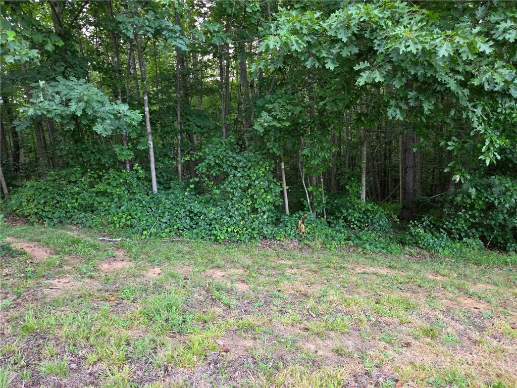 Image number 10 for the current listing