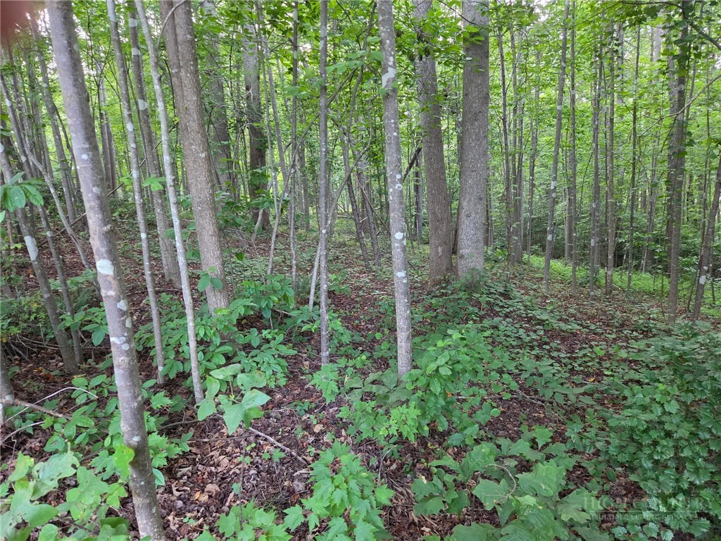 Image number 11 for the current listing