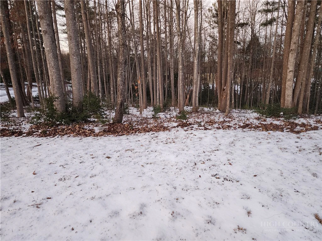 Image number 14 for the current listing
