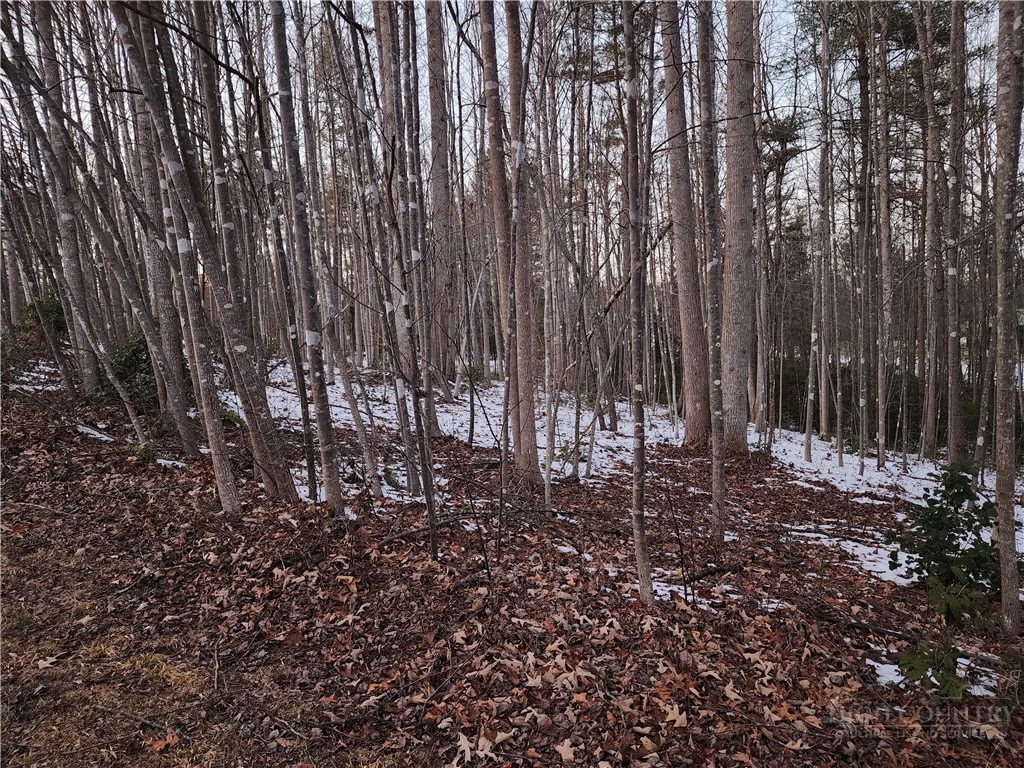Image number 19 for the current listing