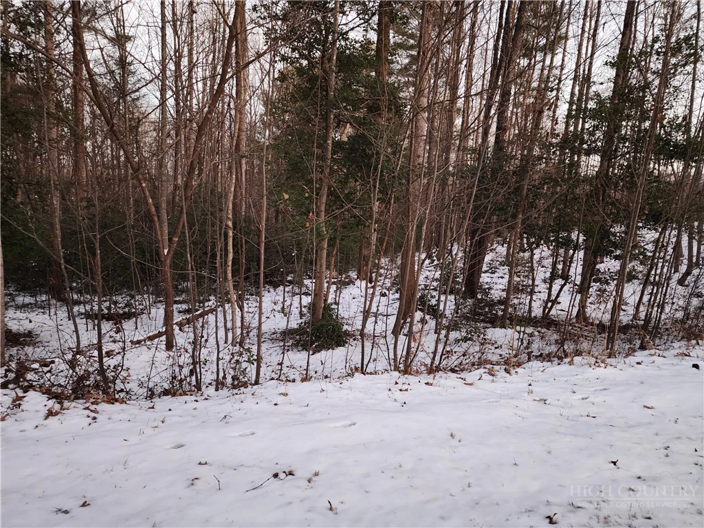Image number 21 for the current listing