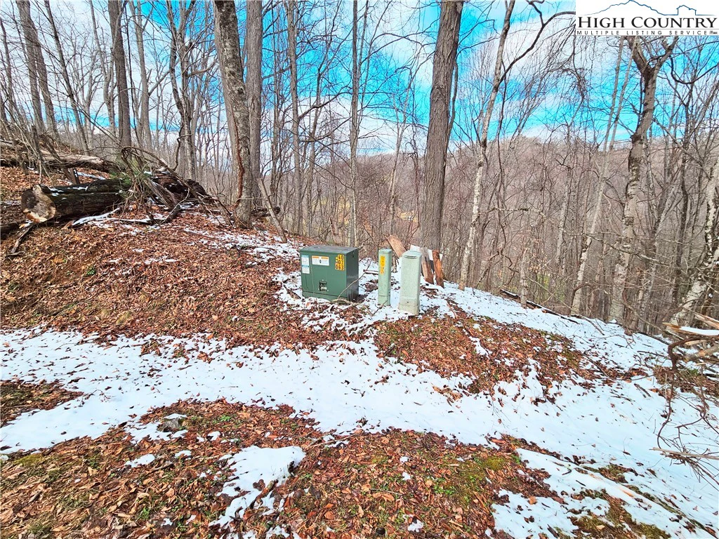 Image number 3 for the current listing