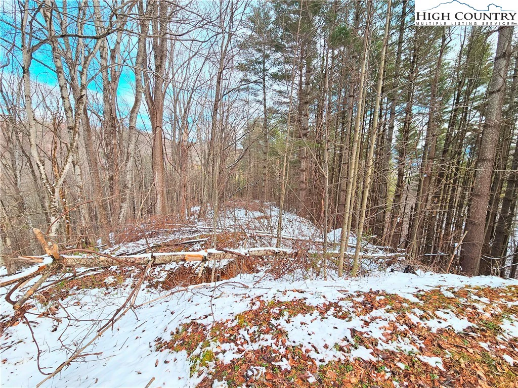 Image number 5 for the current listing