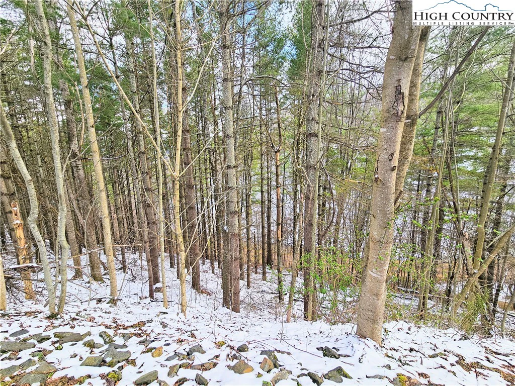 Image number 6 for the current listing