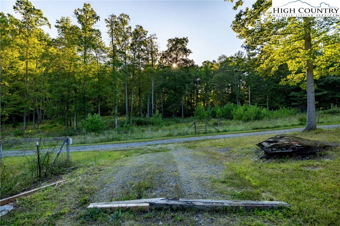 Image number 6 for the current listing