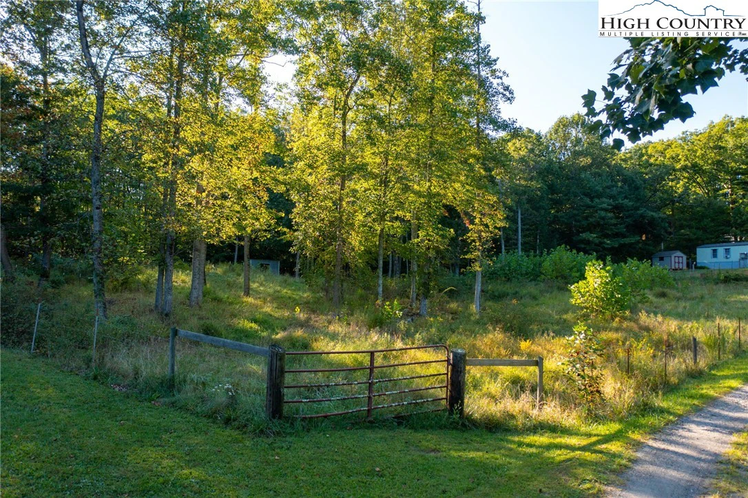 Image number 2 for the current listing