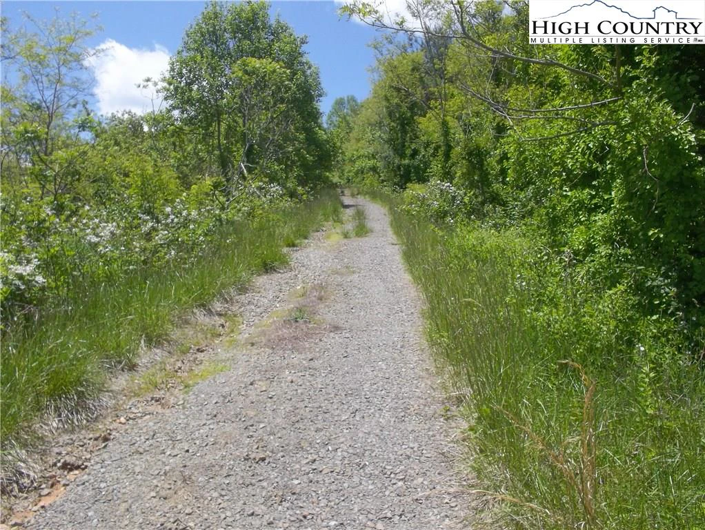Image number 1 for the current listing