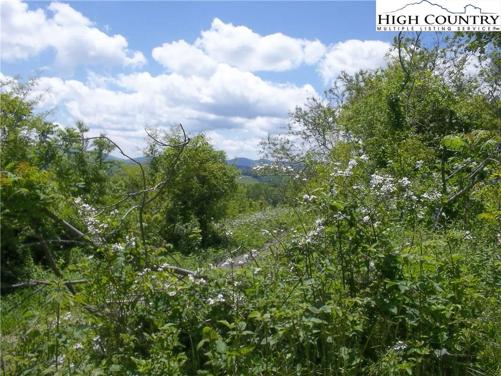 Image number 3 for the current listing