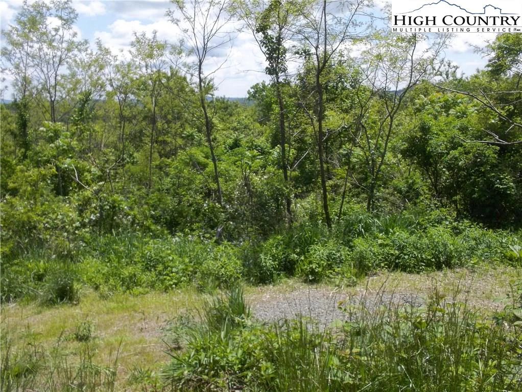 Image number 4 for the current listing