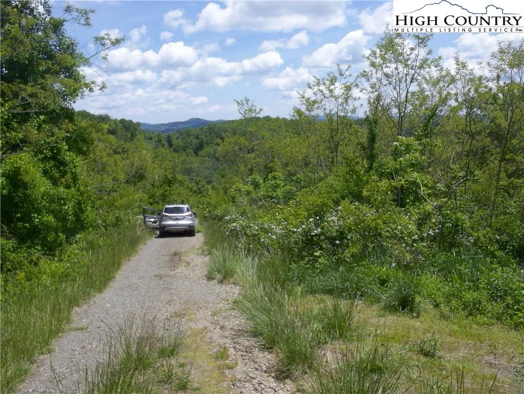 Image number 5 for the current listing