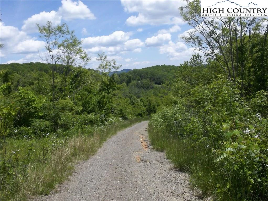 Image number 6 for the current listing