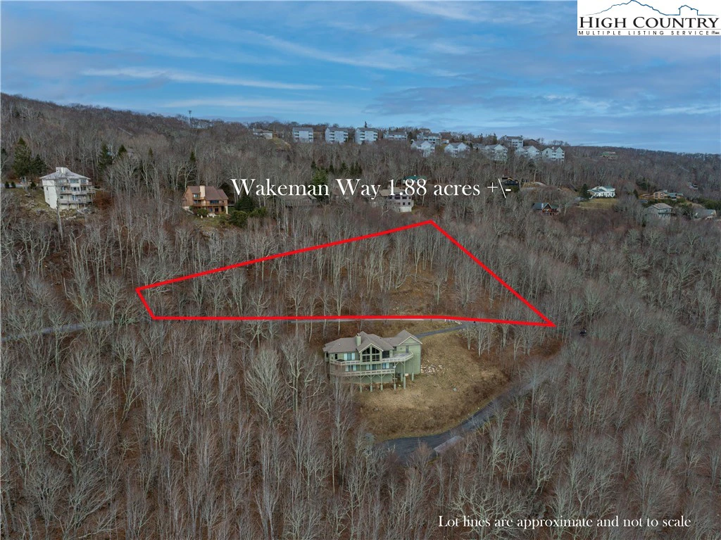 Image number 11 for the current listing