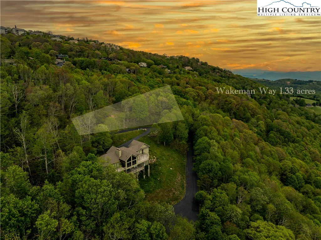 Image number 4 for the current listing