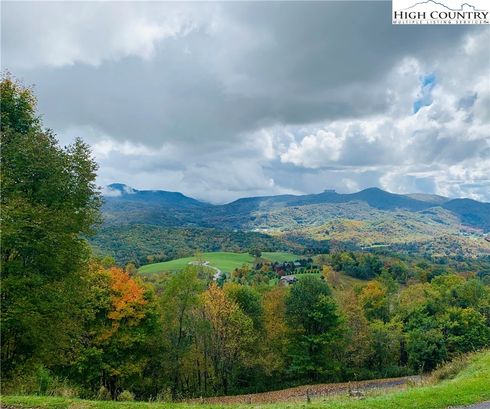Image number 1 for the current listing