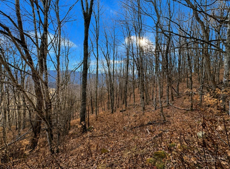 Image number 1 for the current listing