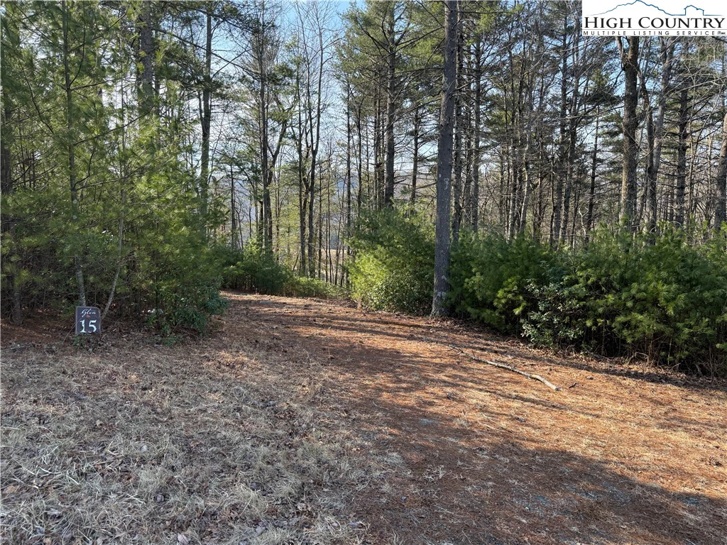 Image number 1 for the current listing