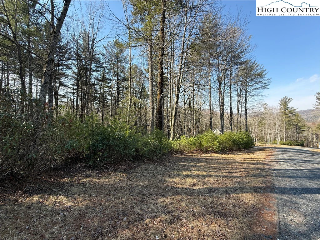 Image number 11 for the current listing
