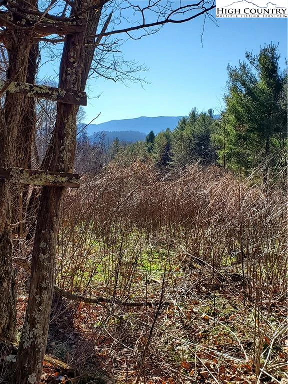 Image number 1 for the current listing