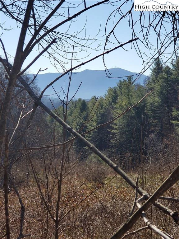 Image number 4 for the current listing