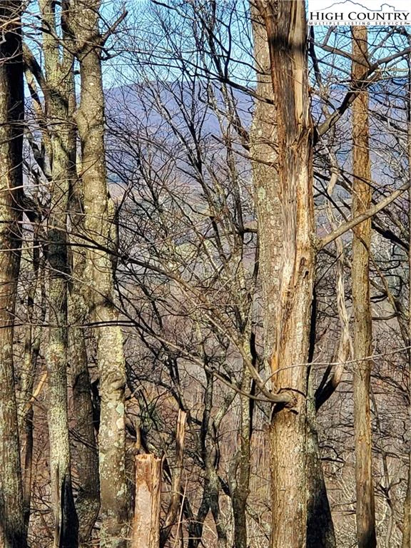 Image number 6 for the current listing