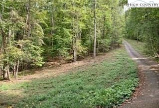 Image number 1 for the current listing