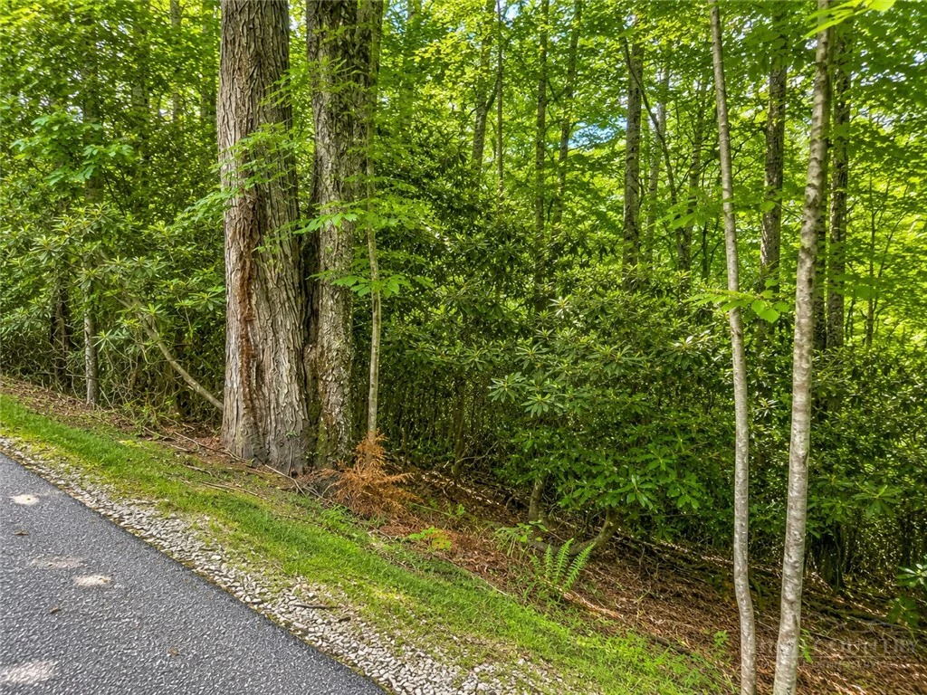 Image number 2 for the current listing