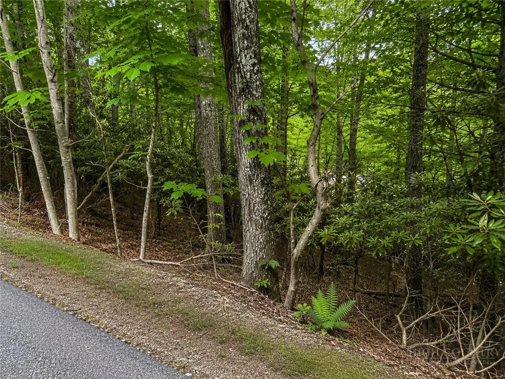 Image number 3 for the current listing