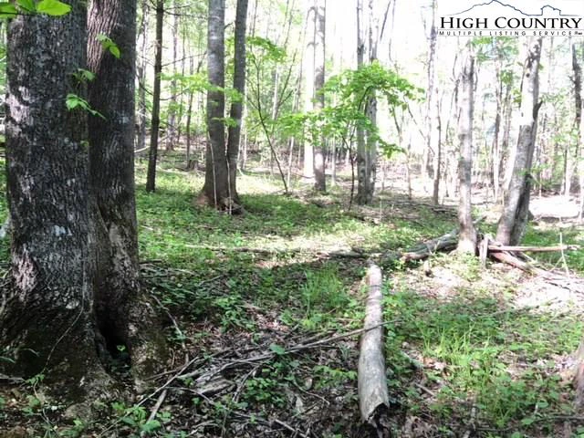 Image number 1 for the current listing