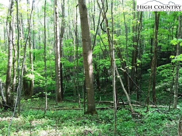 Image number 11 for the current listing