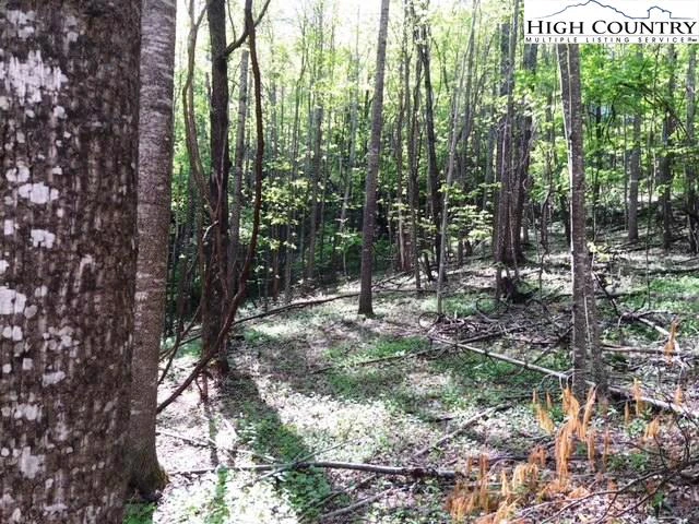 Image number 20 for the current listing