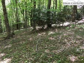 Image number 1 for the current listing