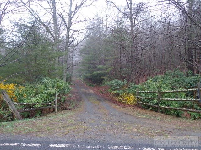 Image number 1 for the current listing