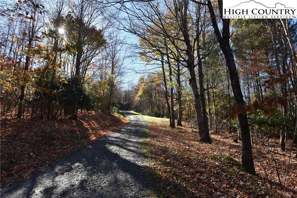 Image number 1 for the current listing