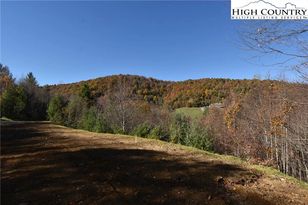 Image number 7 for the current listing