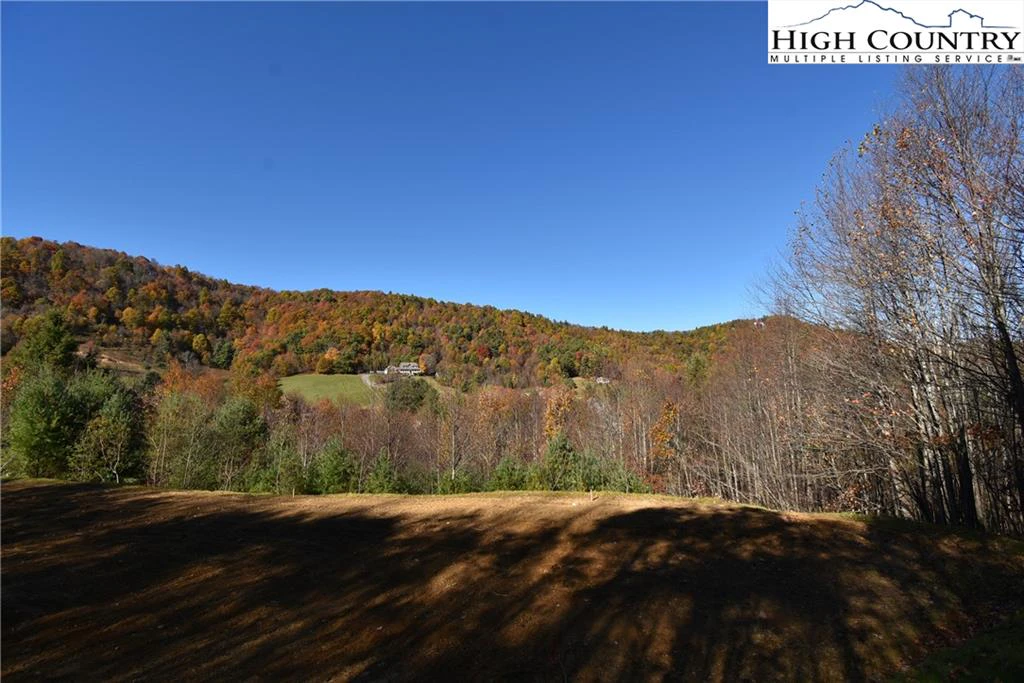 Image number 5 for the current listing