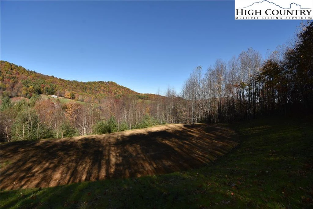 Image number 4 for the current listing