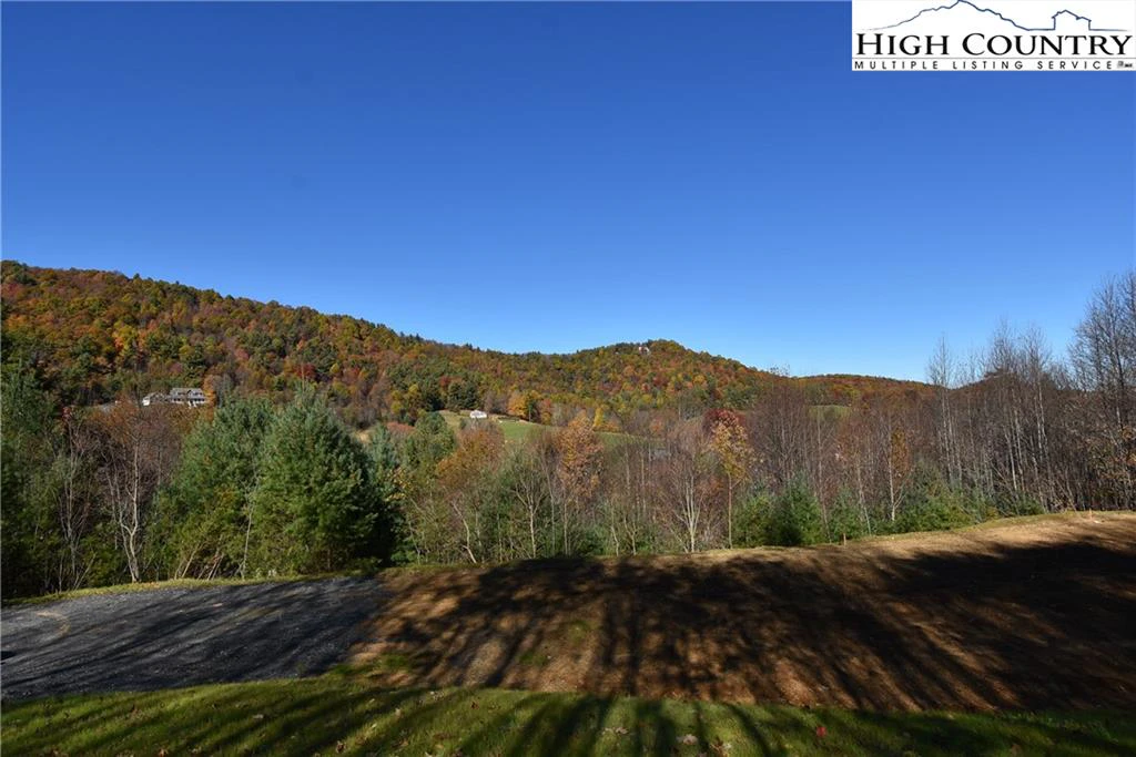 Image number 3 for the current listing