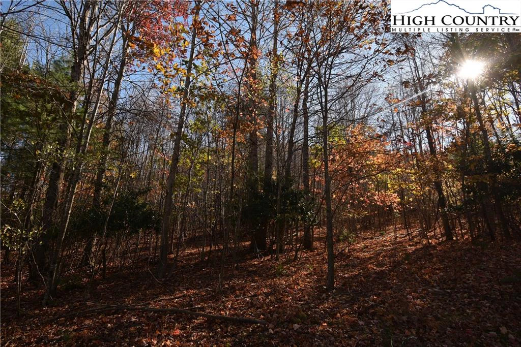 Image number 12 for the current listing