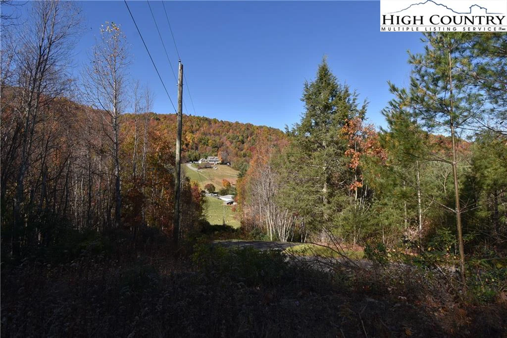 Image number 11 for the current listing