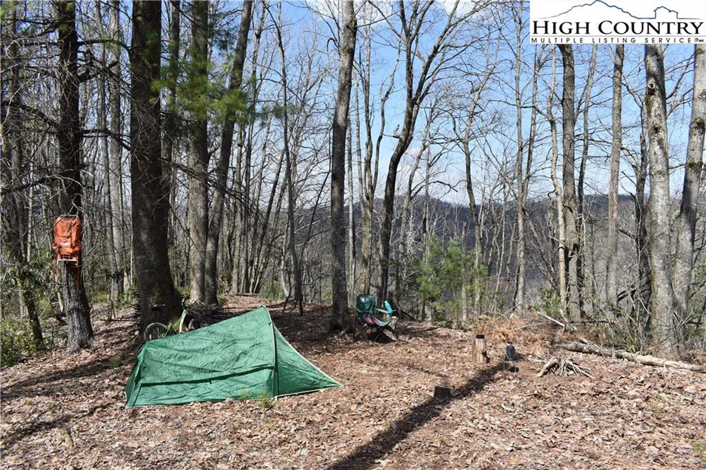 Image number 1 for the current listing