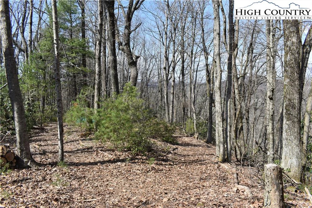 Image number 2 for the current listing