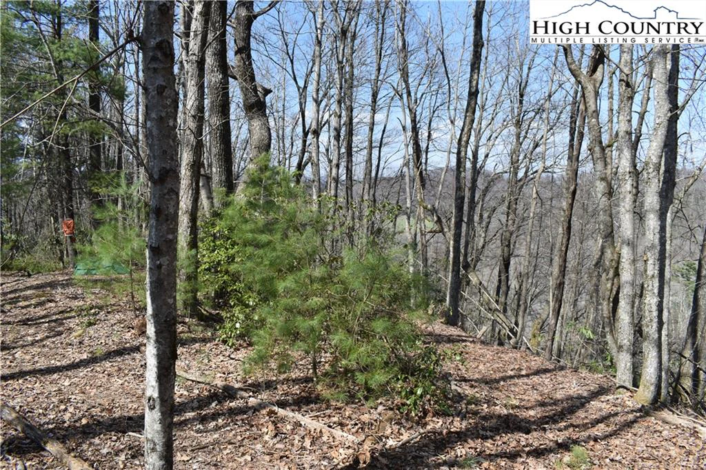 Image number 12 for the current listing