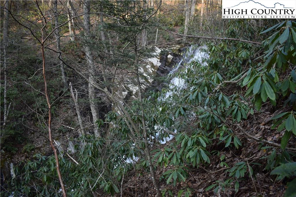 Image number 8 for the current listing