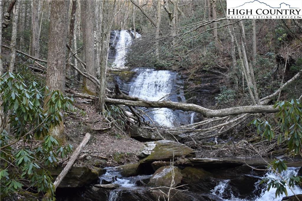 Image number 5 for the current listing