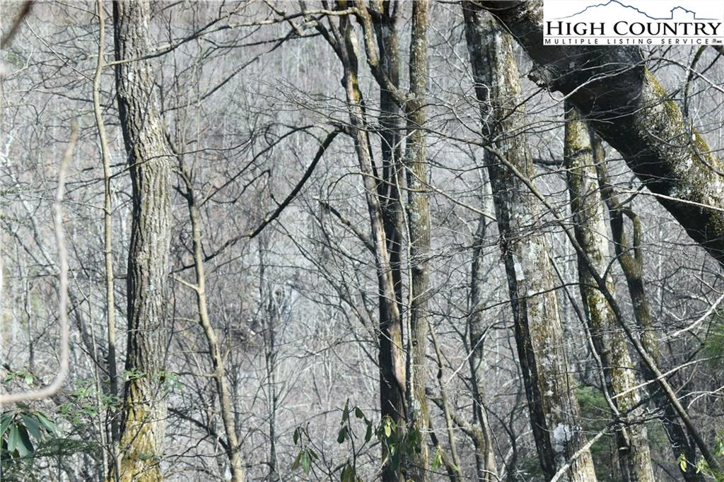 Image number 14 for the current listing