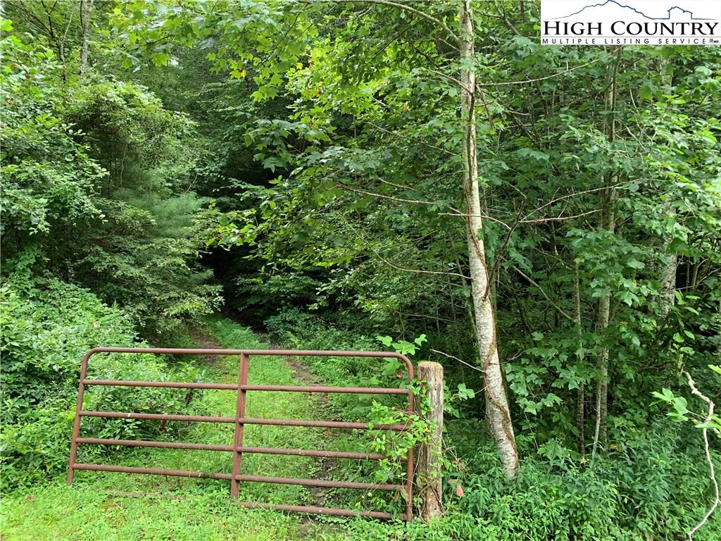 Image number 3 for the current listing