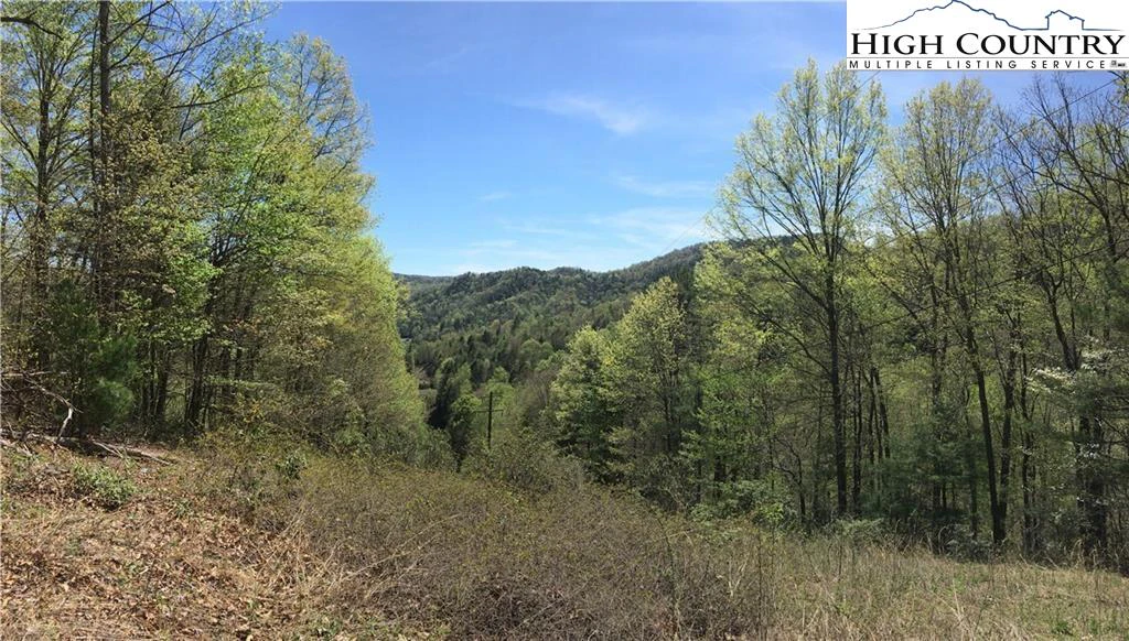 Image number 1 for the current listing